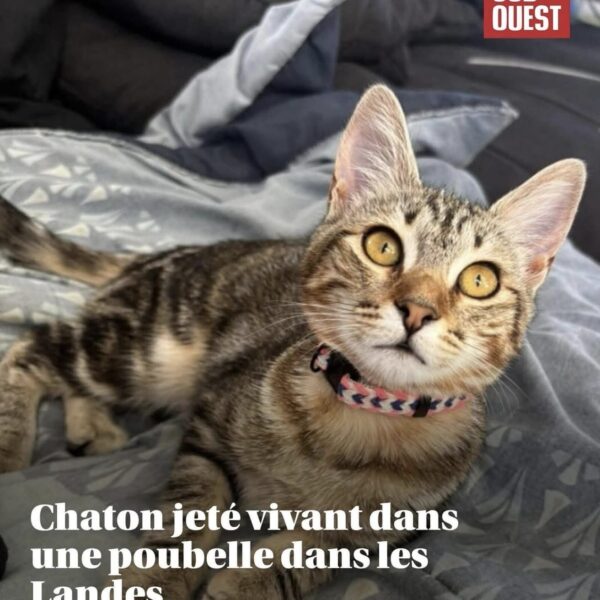 6cafd3e7-98b4-46c9-81d1-810d7ac0b65d