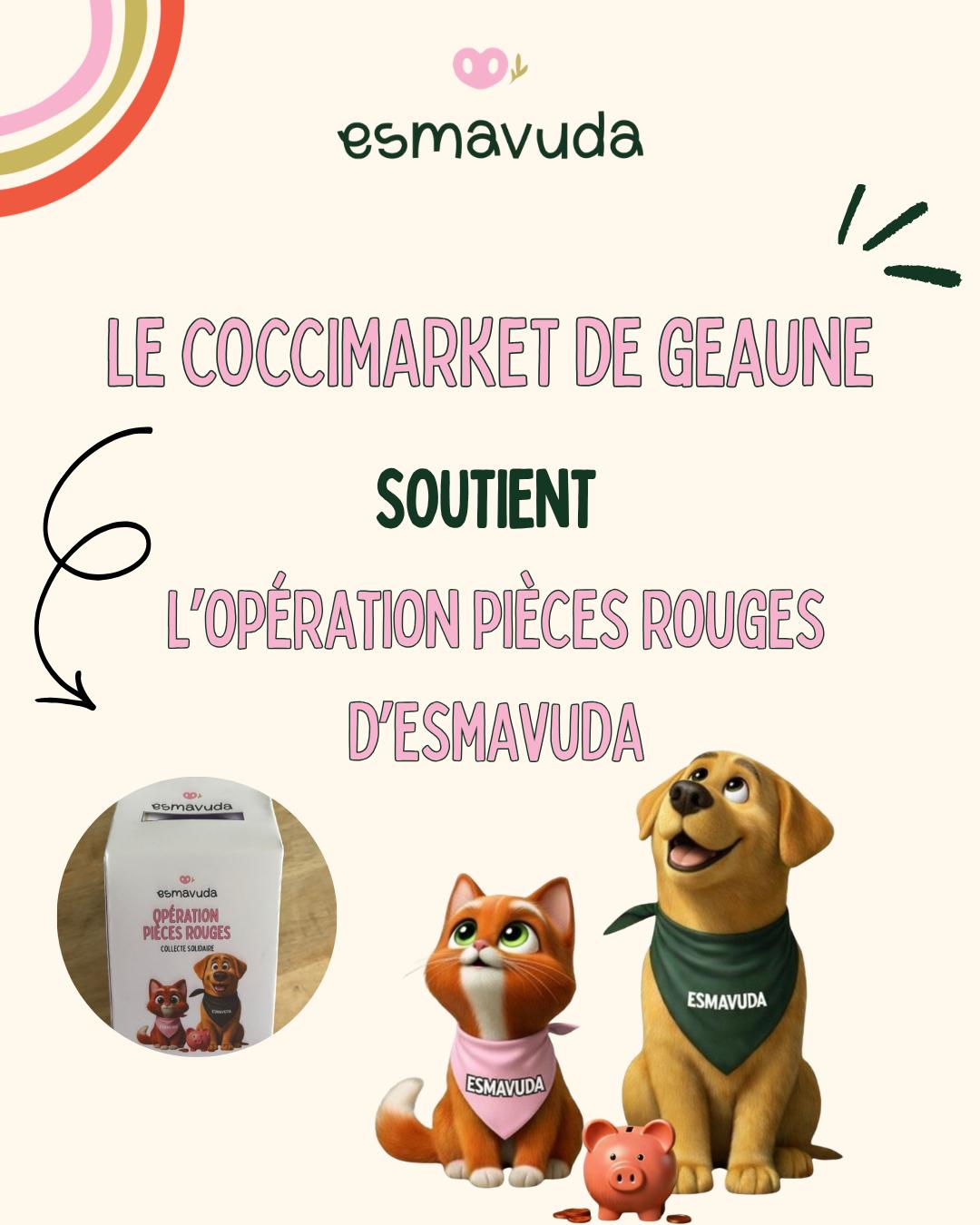 WhatsApp Image 2026-04-09 at 18.33.20 (7)