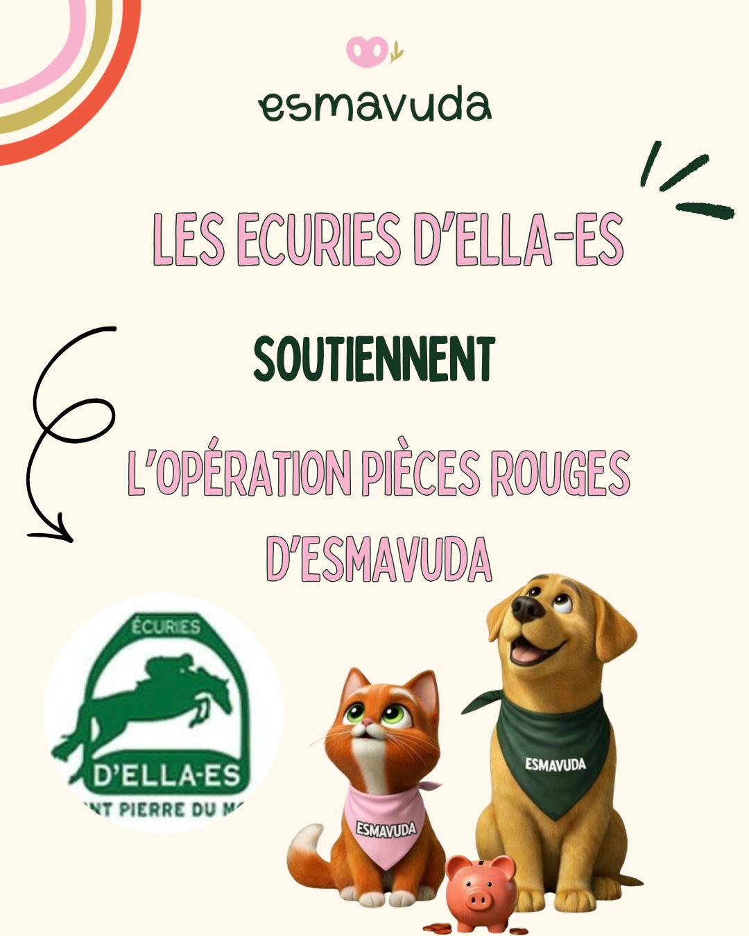 WhatsApp Image 2026-04-09 at 18.33.20 (8)