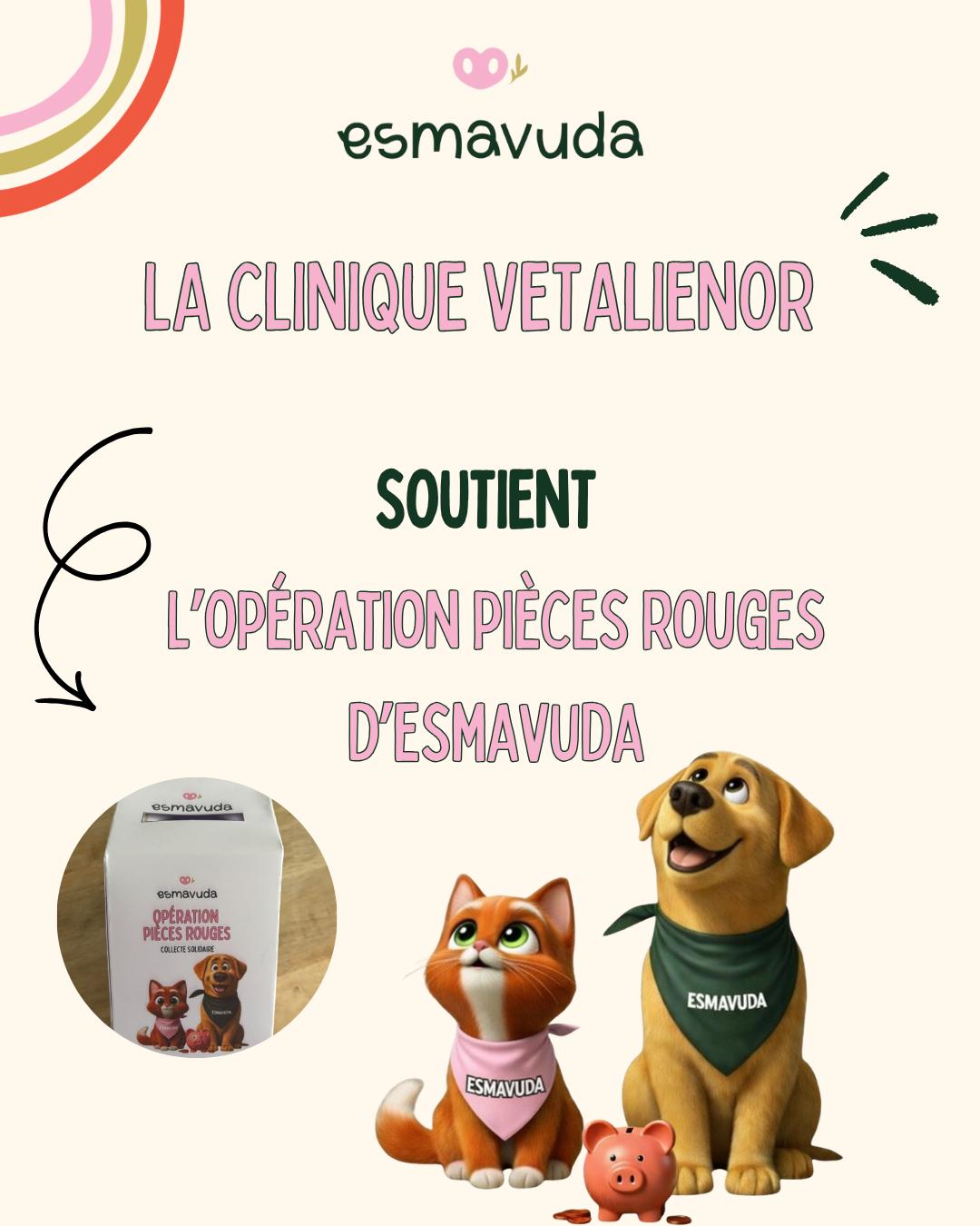 WhatsApp Image 2026-04-09 at 18.33.20