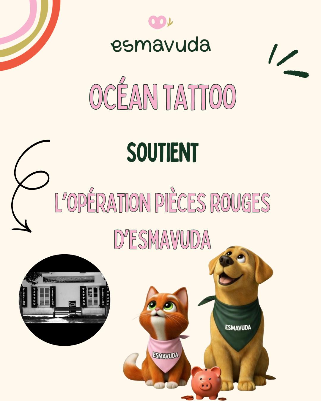 WhatsApp Image 2026-04-09 at 18.33.21 (2)