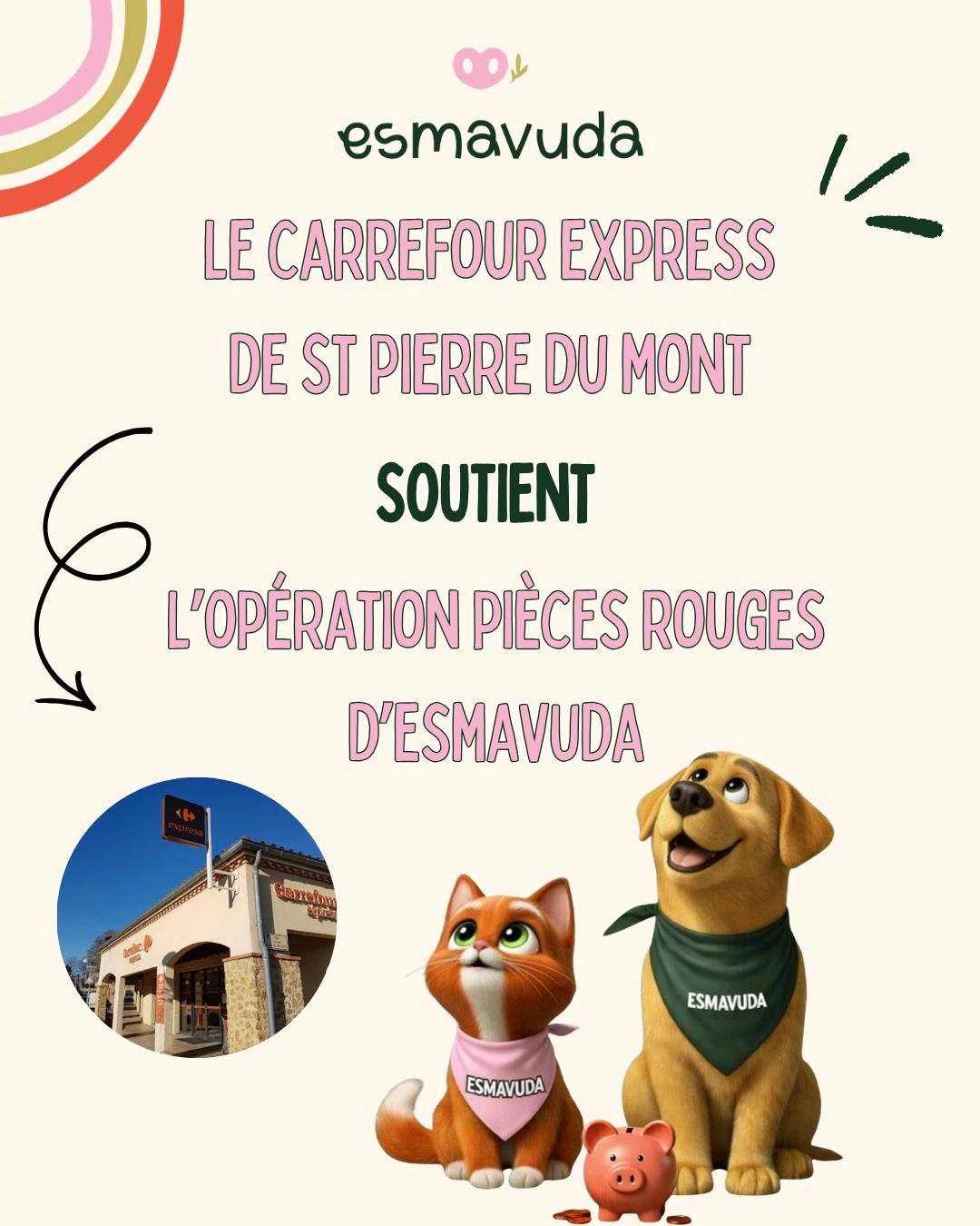 WhatsApp Image 2026-04-09 at 18.33.21 (4)