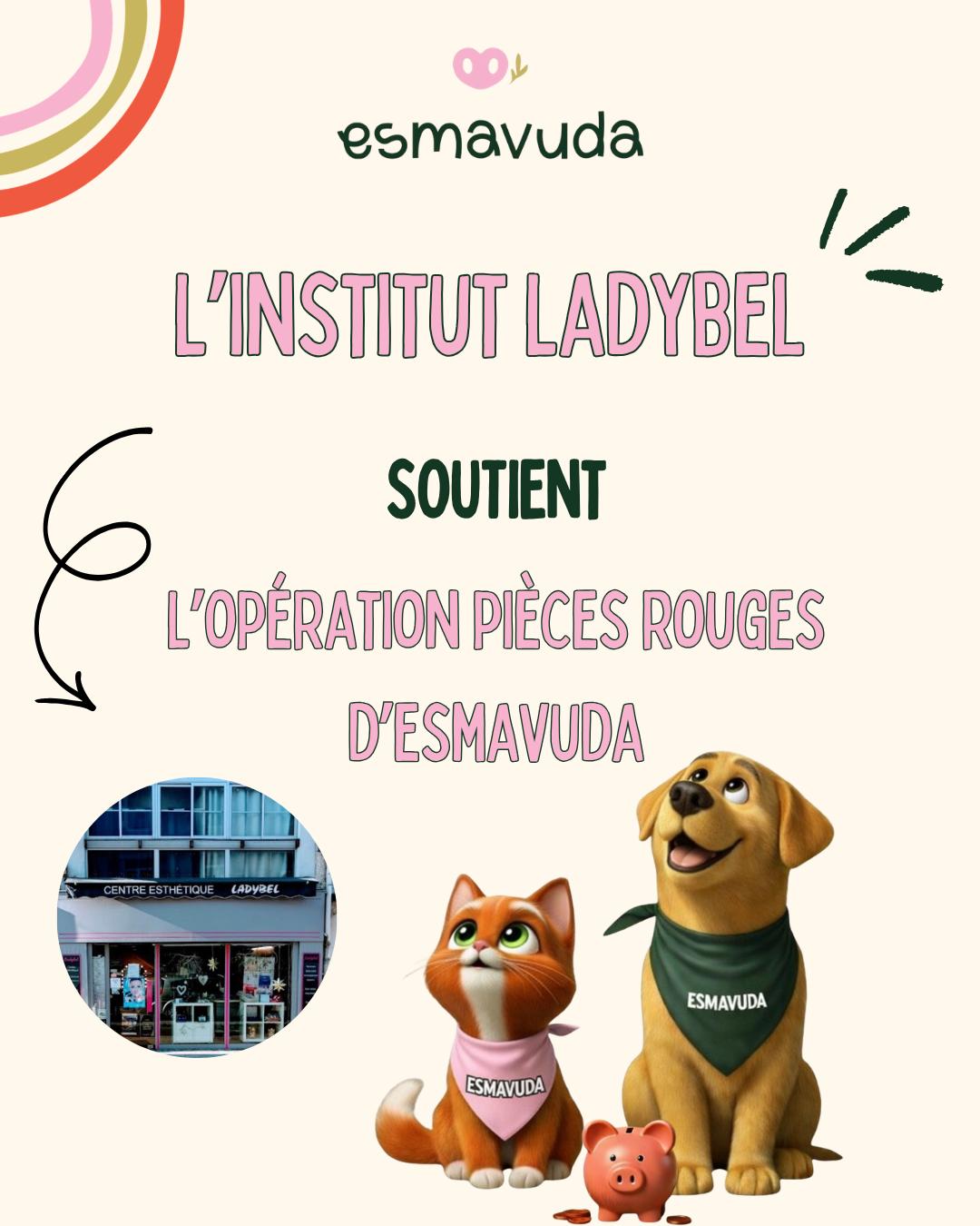 WhatsApp Image 2026-04-09 at 18.33.21 (8)