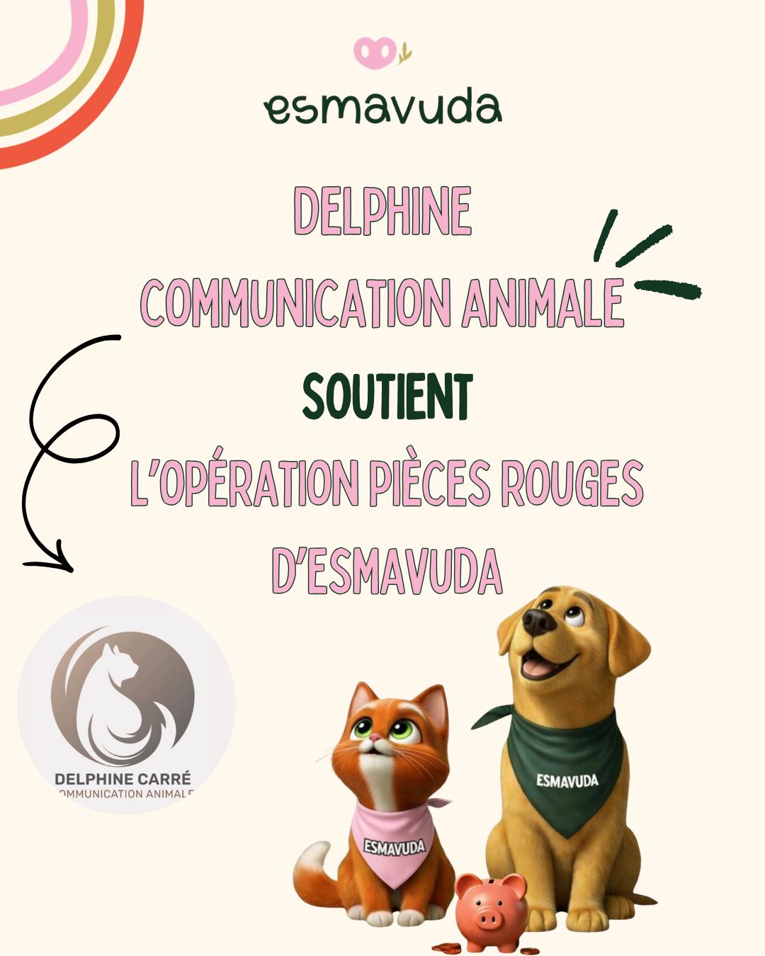 WhatsApp Image 2026-04-09 at 18.33.22 (1)