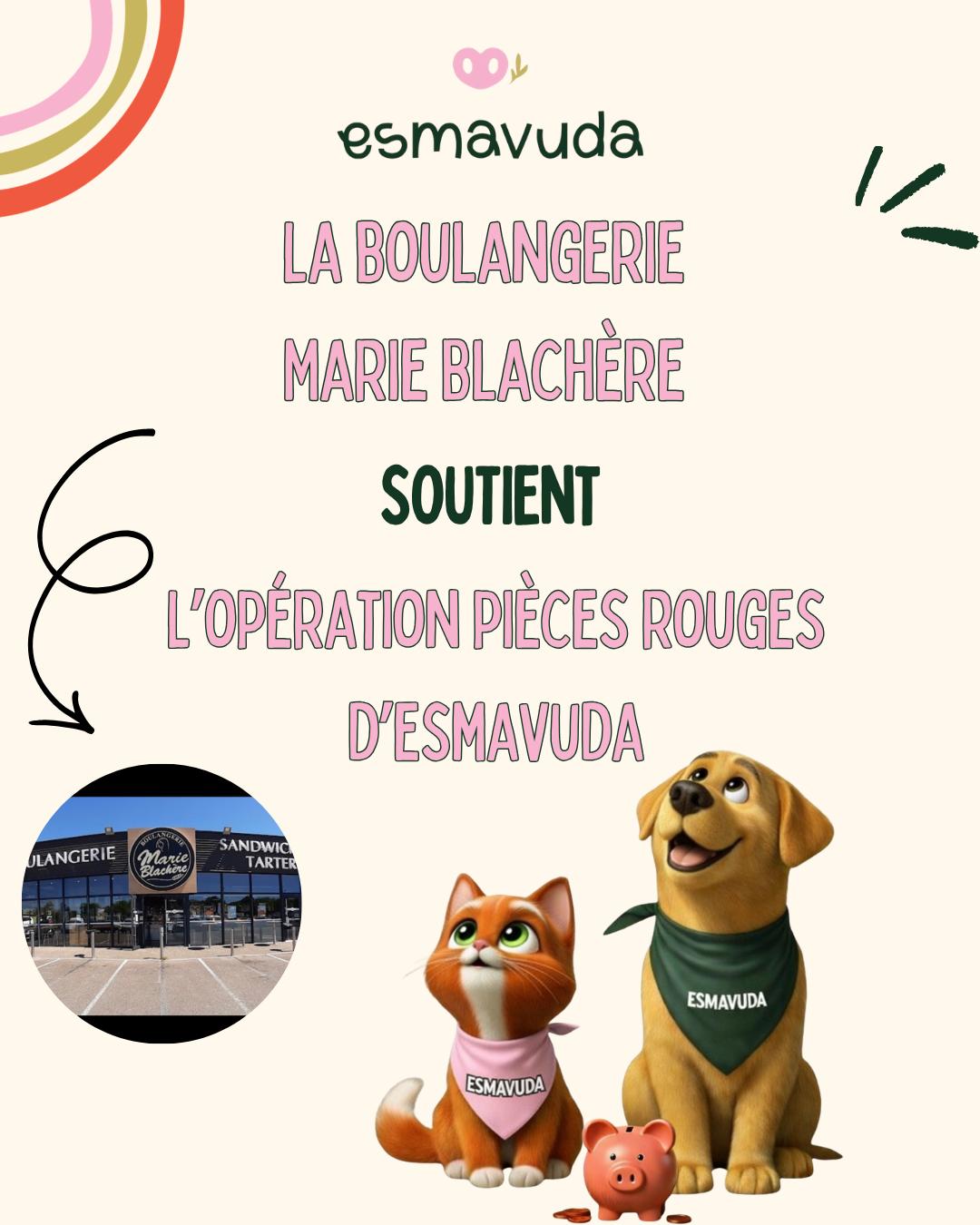 WhatsApp Image 2026-04-09 at 18.33.22 (7)