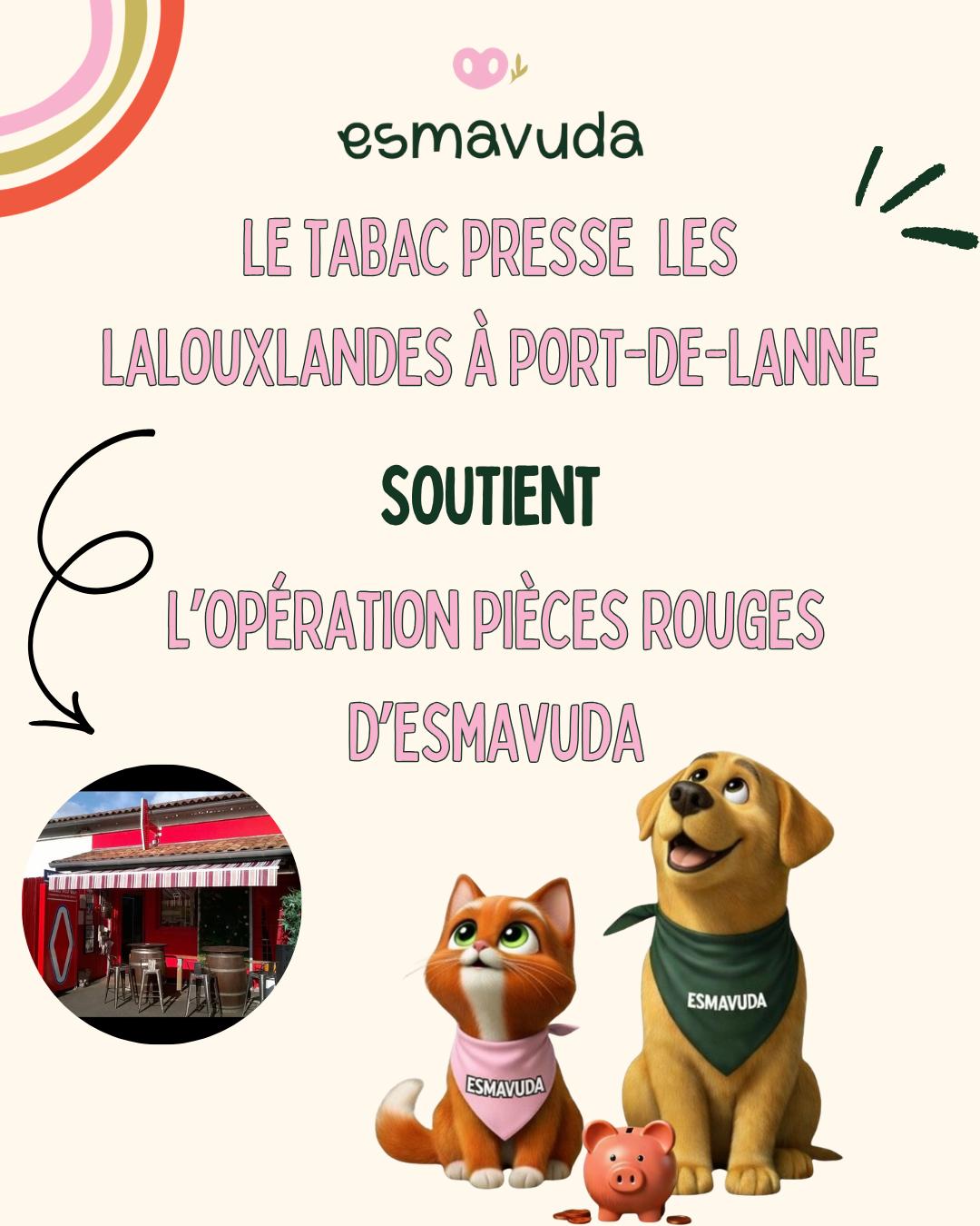 WhatsApp Image 2026-04-09 at 18.33.22 (8)