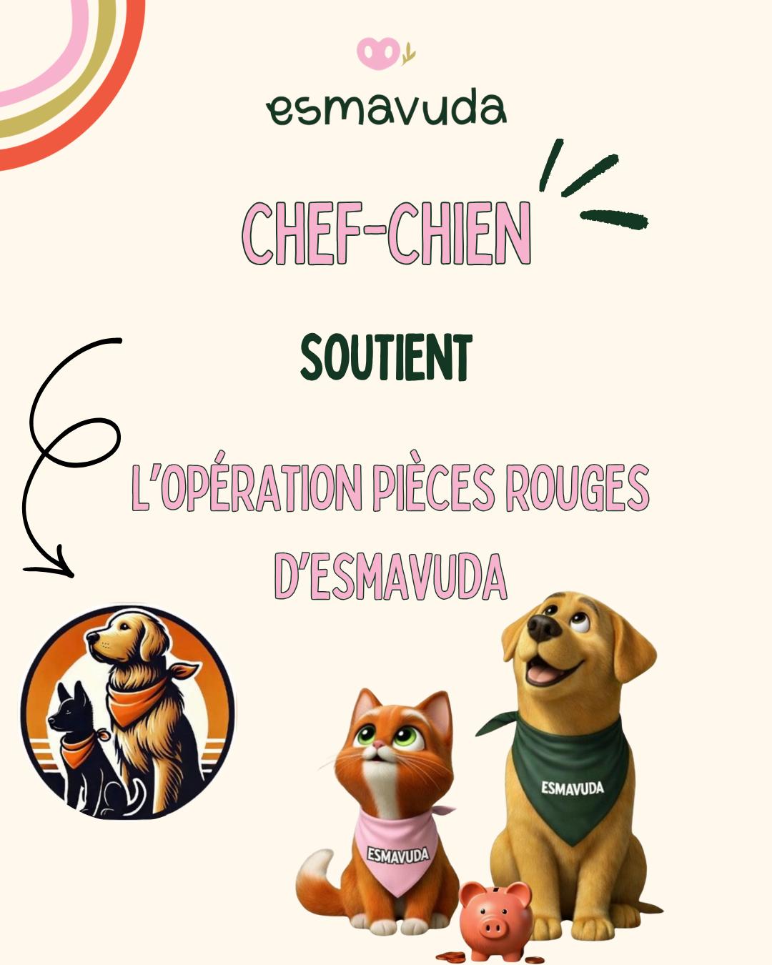 WhatsApp Image 2026-04-09 at 18.33.22