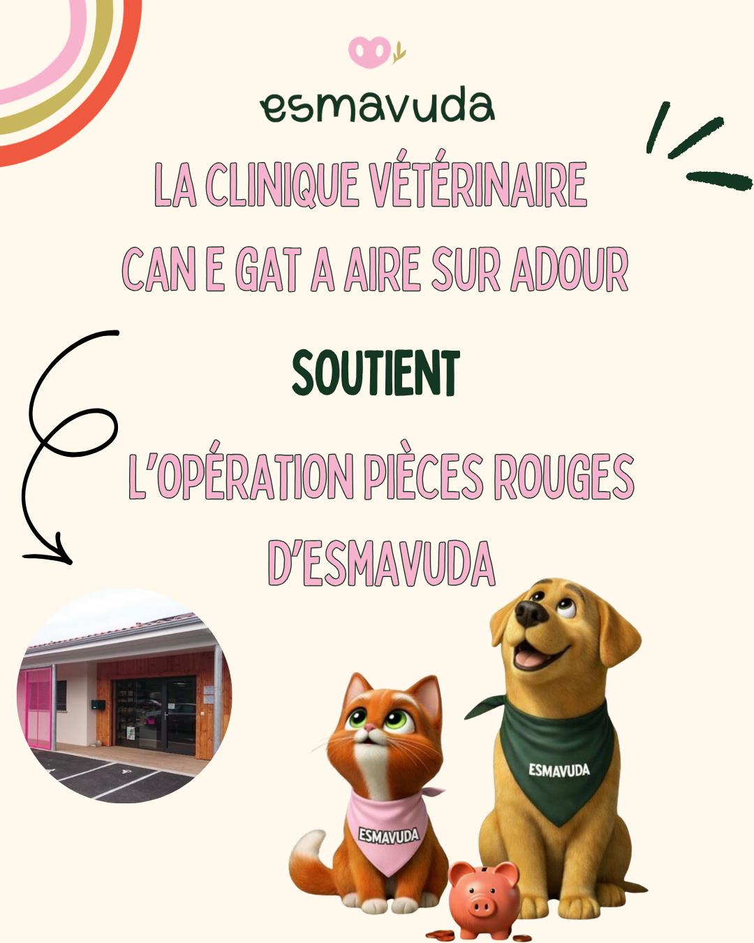 WhatsApp Image 2026-04-09 at 18.33.23 (1)