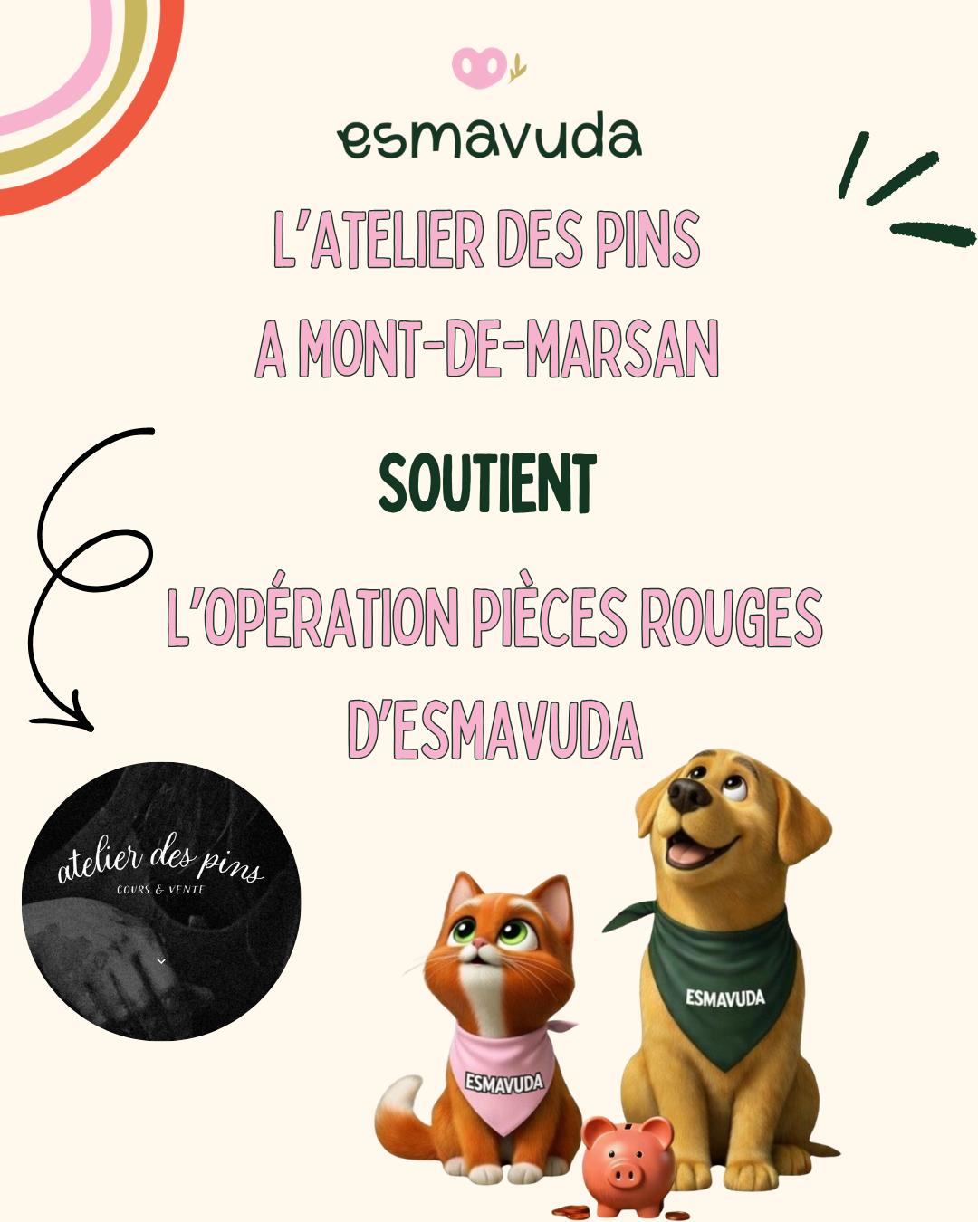 WhatsApp Image 2026-04-09 at 18.33.23 (2)