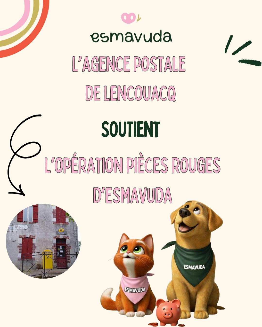 WhatsApp Image 2026-04-09 at 18.33.23 (3)