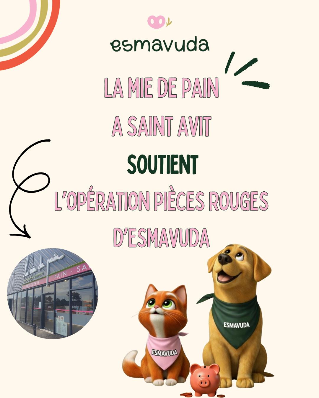 WhatsApp Image 2026-04-09 at 18.33.23 (7)