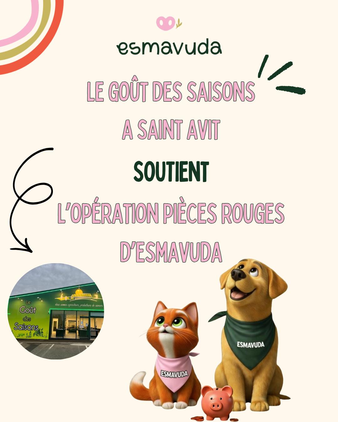 WhatsApp Image 2026-04-09 at 18.33.23 (9)