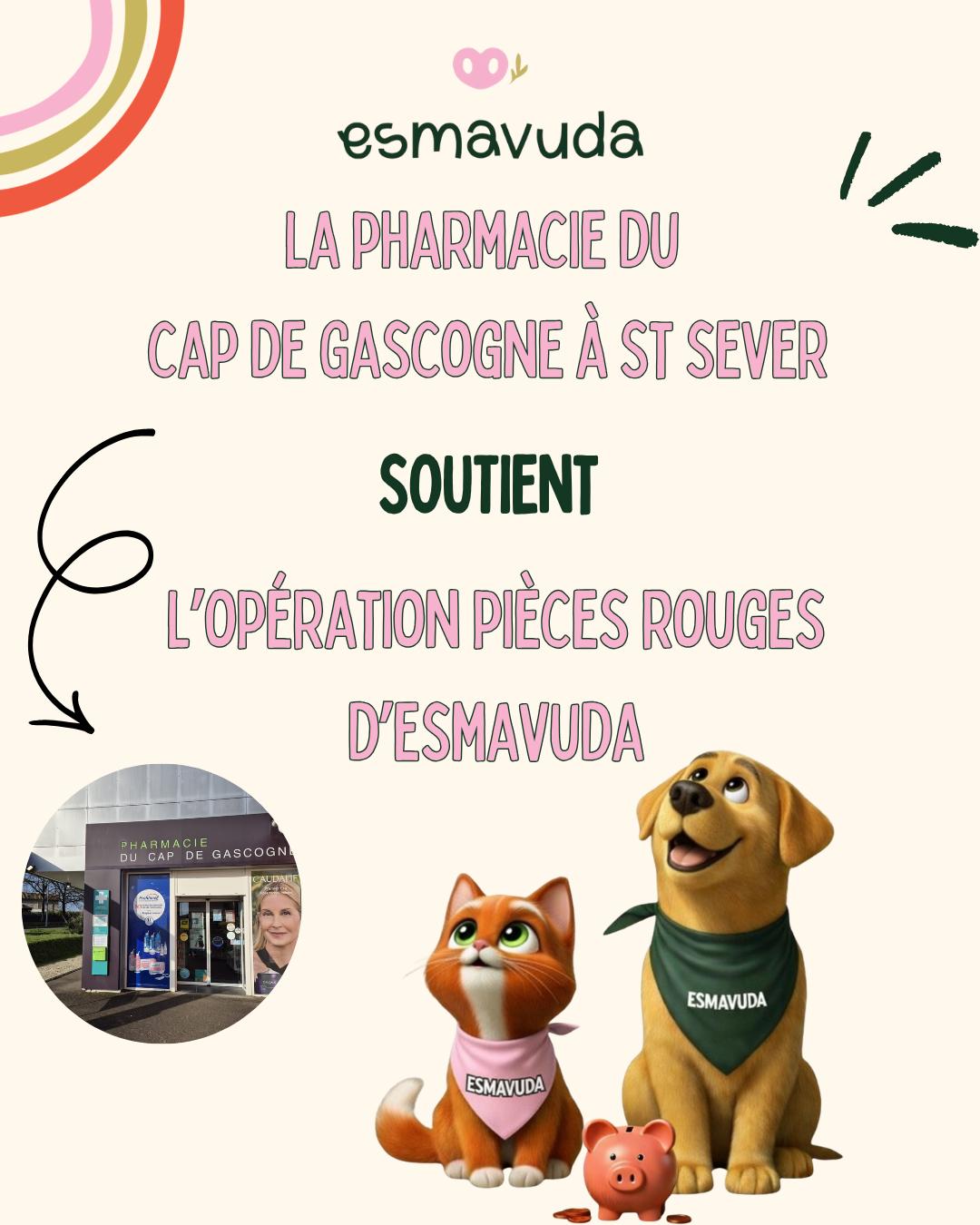 WhatsApp Image 2026-04-09 at 18.33.24 (2)