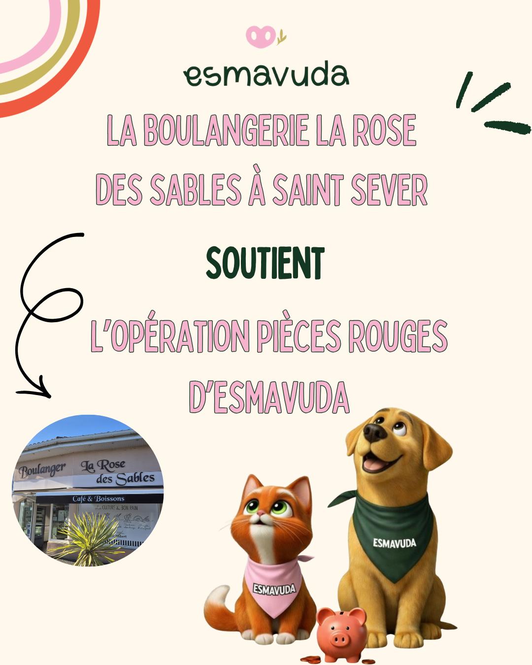 WhatsApp Image 2026-04-09 at 18.33.24 (4)