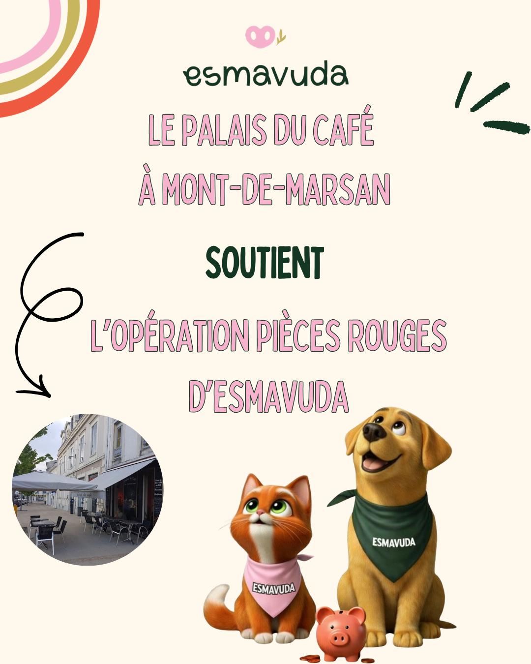 WhatsApp Image 2026-04-09 at 18.33.24 (6)