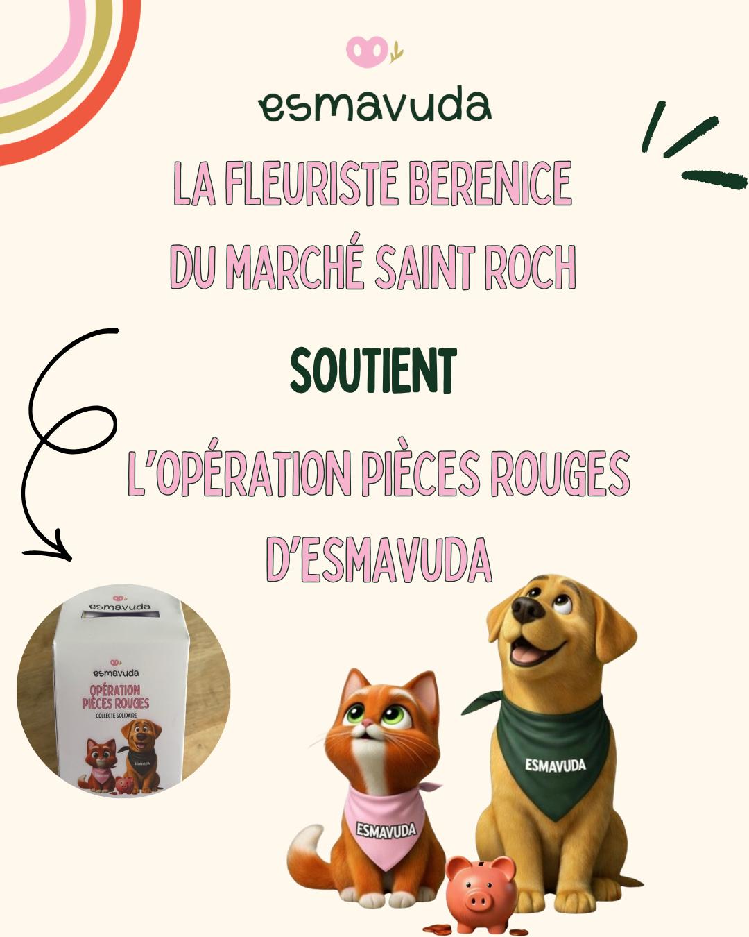 WhatsApp Image 2026-04-09 at 18.33.24