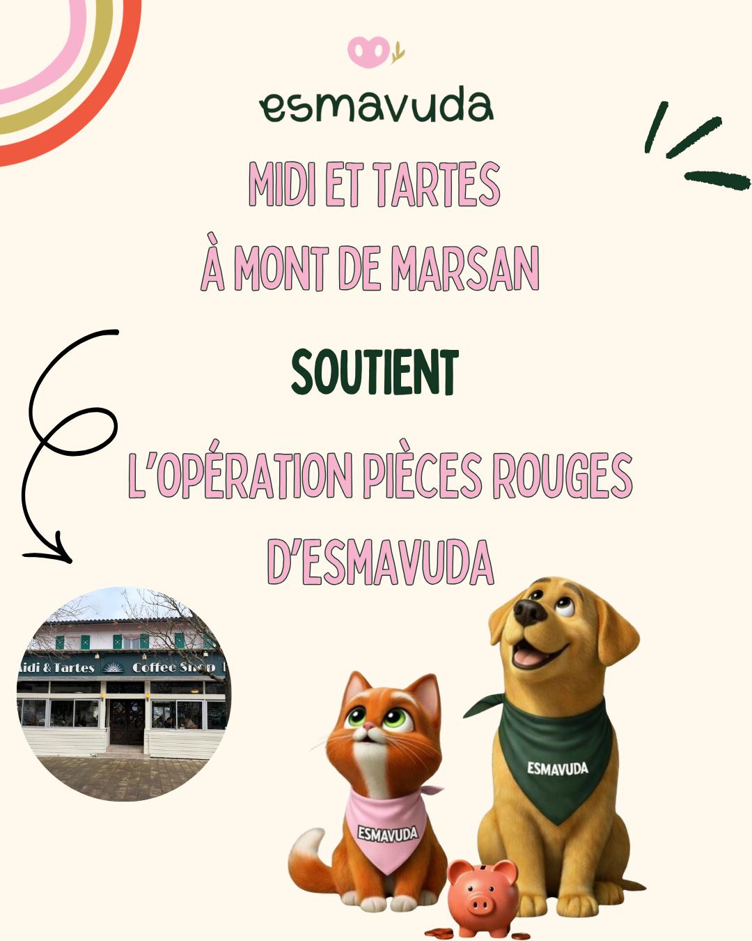 WhatsApp Image 2026-04-09 at 18.33.25 (1)