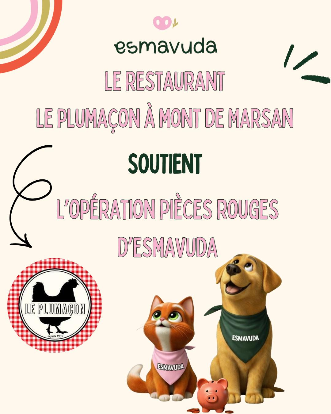 WhatsApp Image 2026-04-09 at 18.33.25 (2)