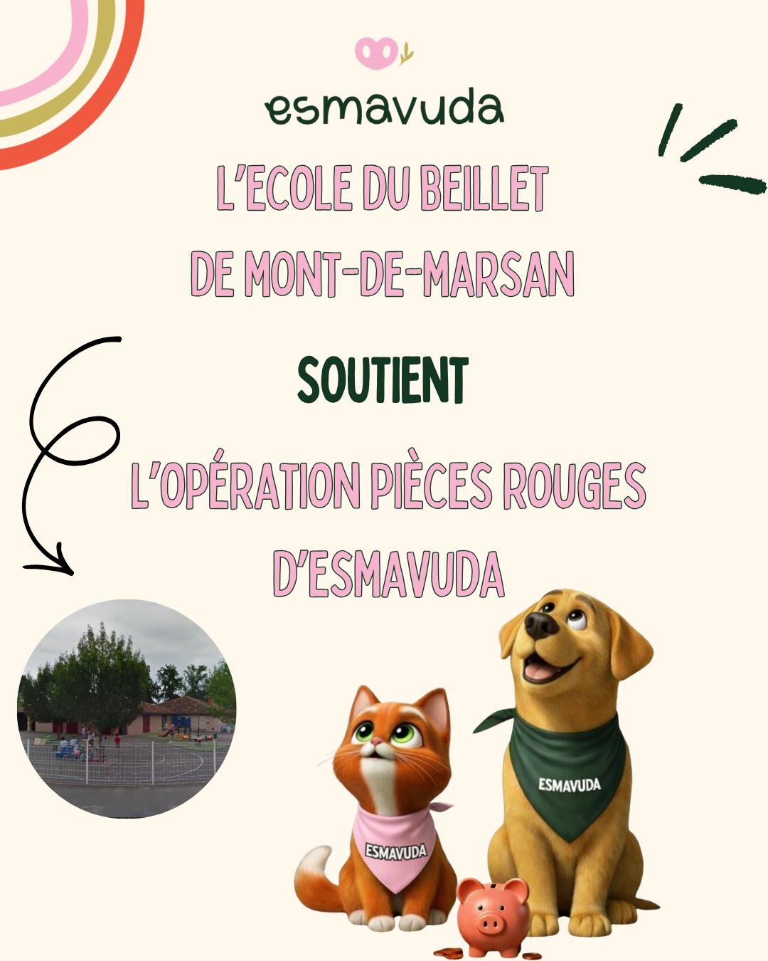 WhatsApp Image 2026-04-09 at 18.33.25 (3)