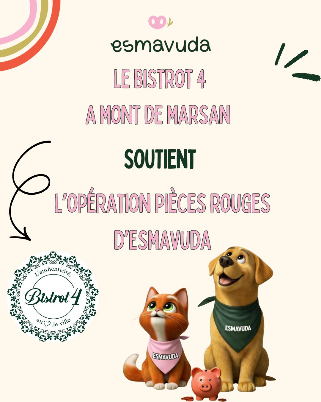 WhatsApp Image 2026-04-09 at 18.33.25 (4)