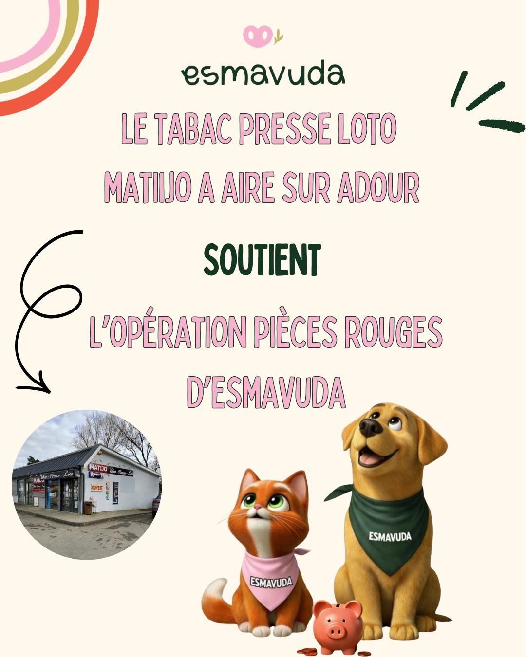 WhatsApp Image 2026-04-09 at 18.33.25 (6)