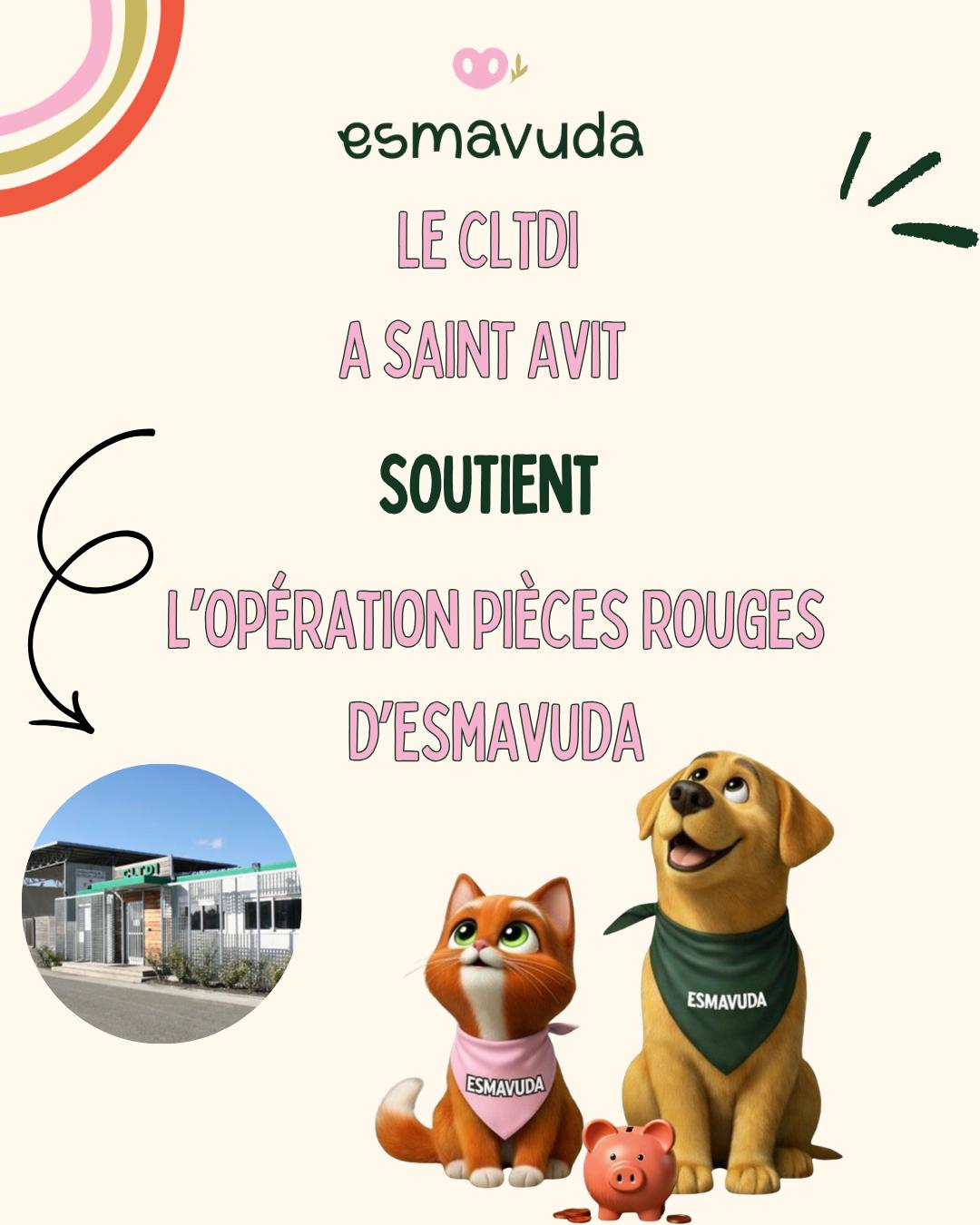 WhatsApp Image 2026-04-09 at 18.33.25 (7)