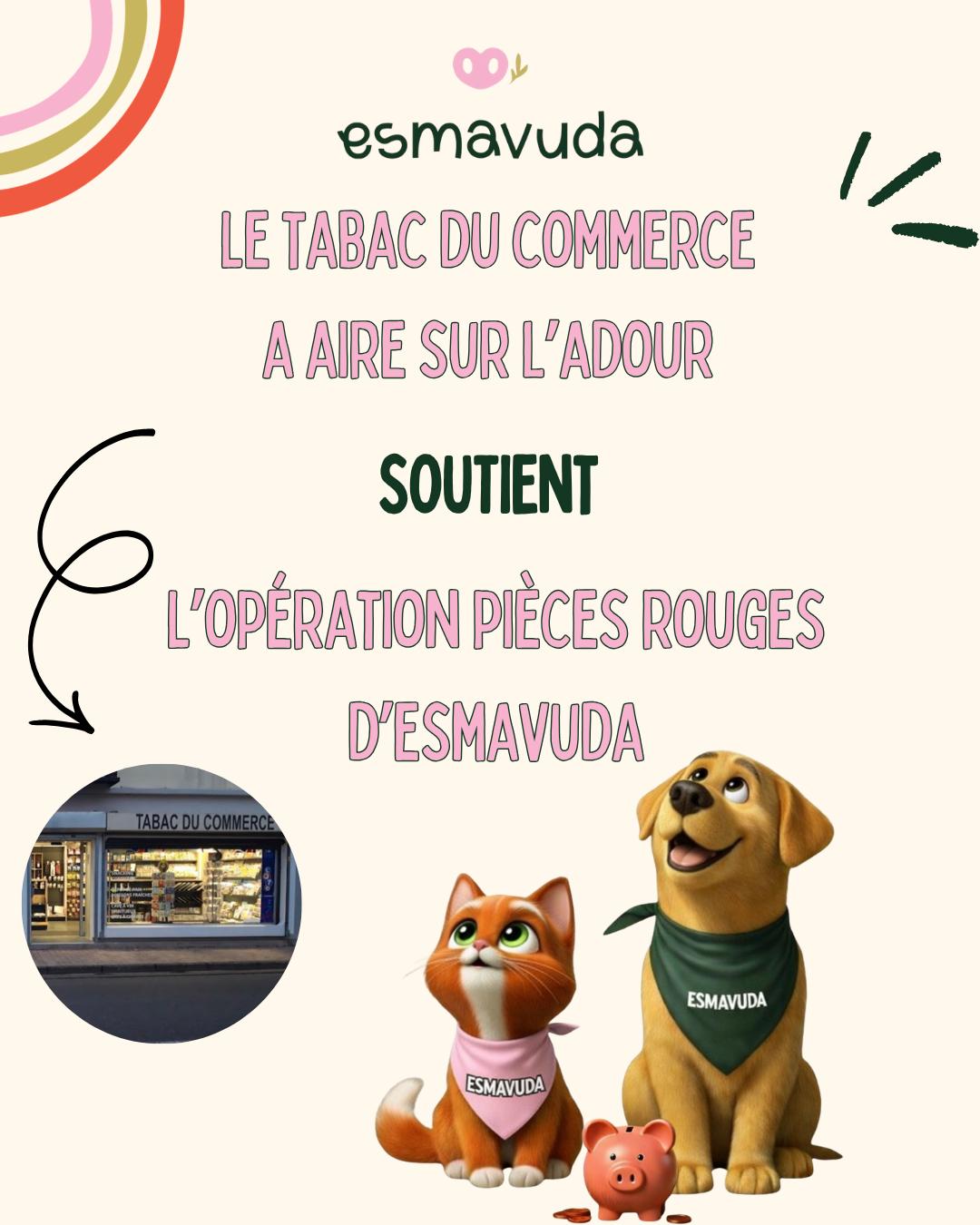 WhatsApp Image 2026-04-09 at 18.33.25 (9)