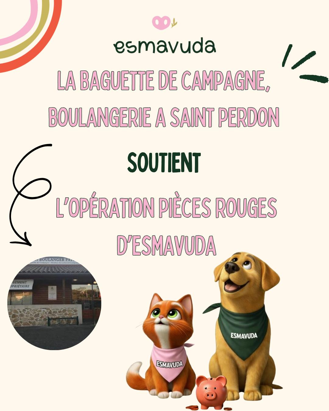 WhatsApp Image 2026-04-09 at 18.33.25