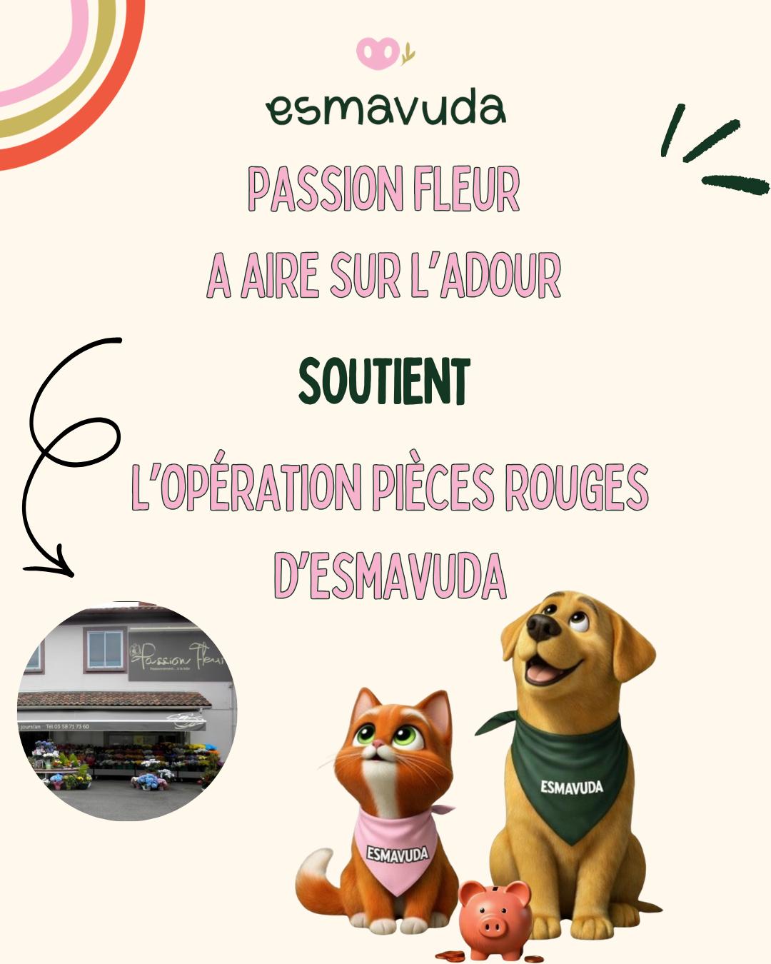 WhatsApp Image 2026-04-09 at 18.33.26 (1)