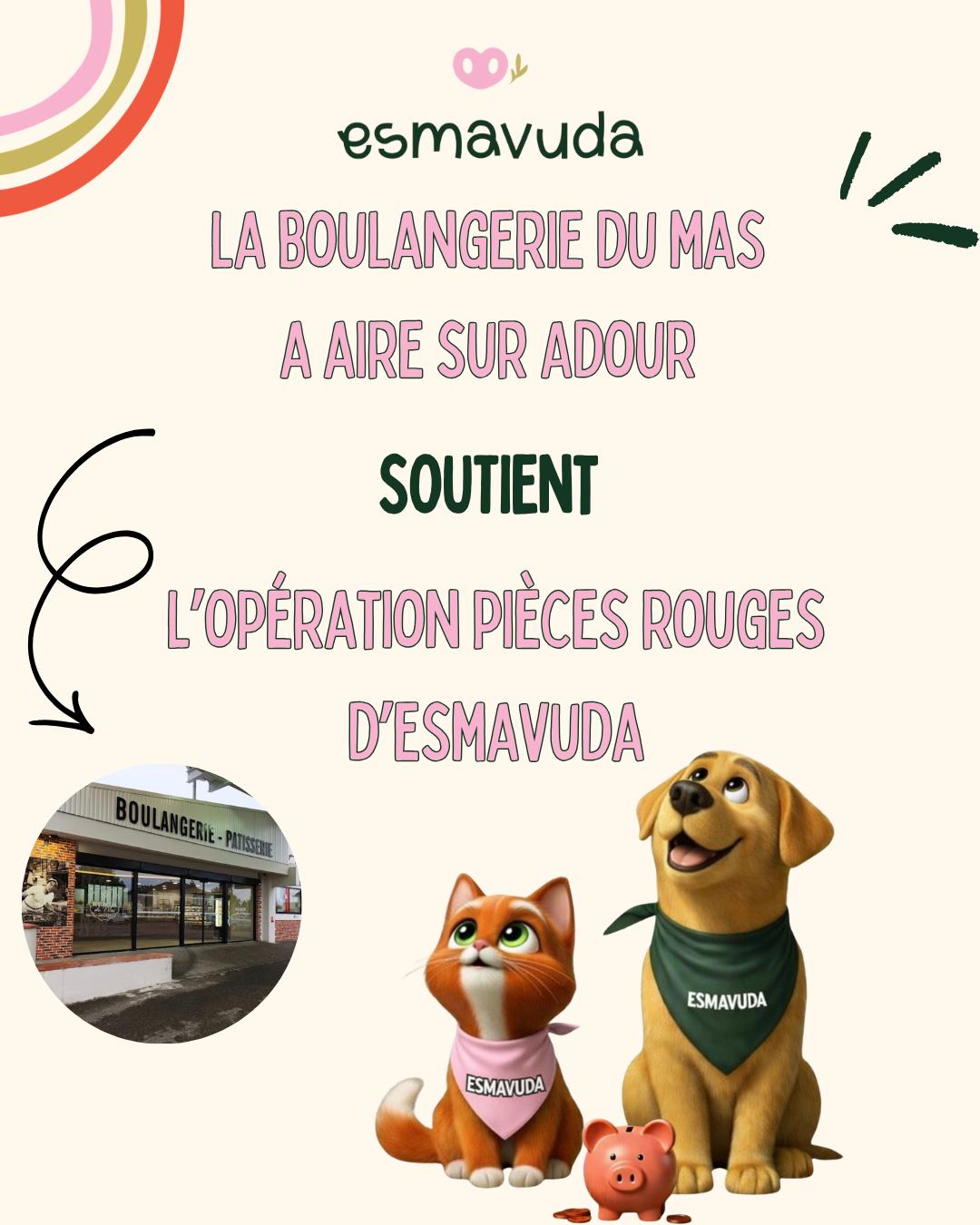 WhatsApp Image 2026-04-09 at 18.33.26 (10)