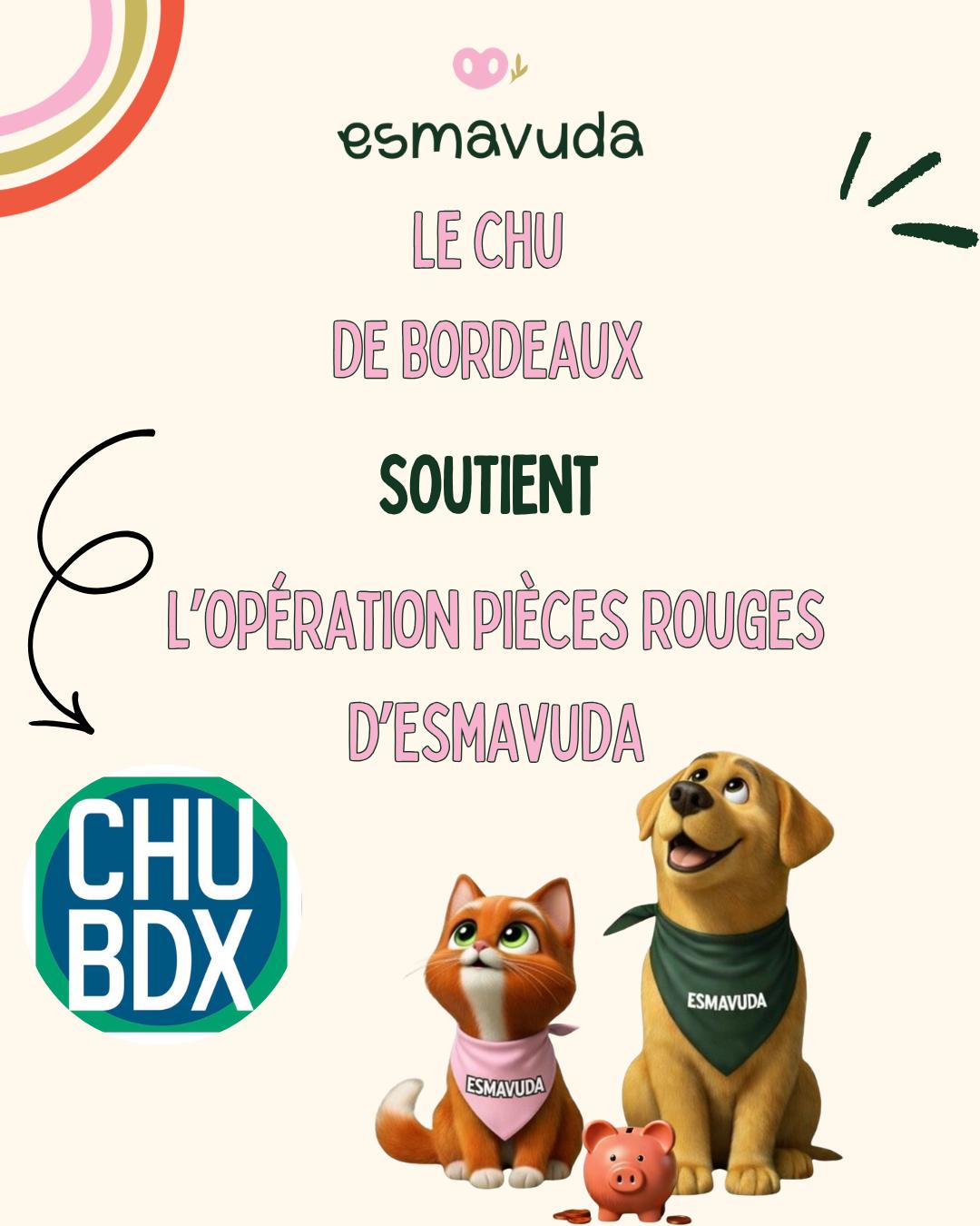 WhatsApp Image 2026-04-09 at 18.33.26 (2)