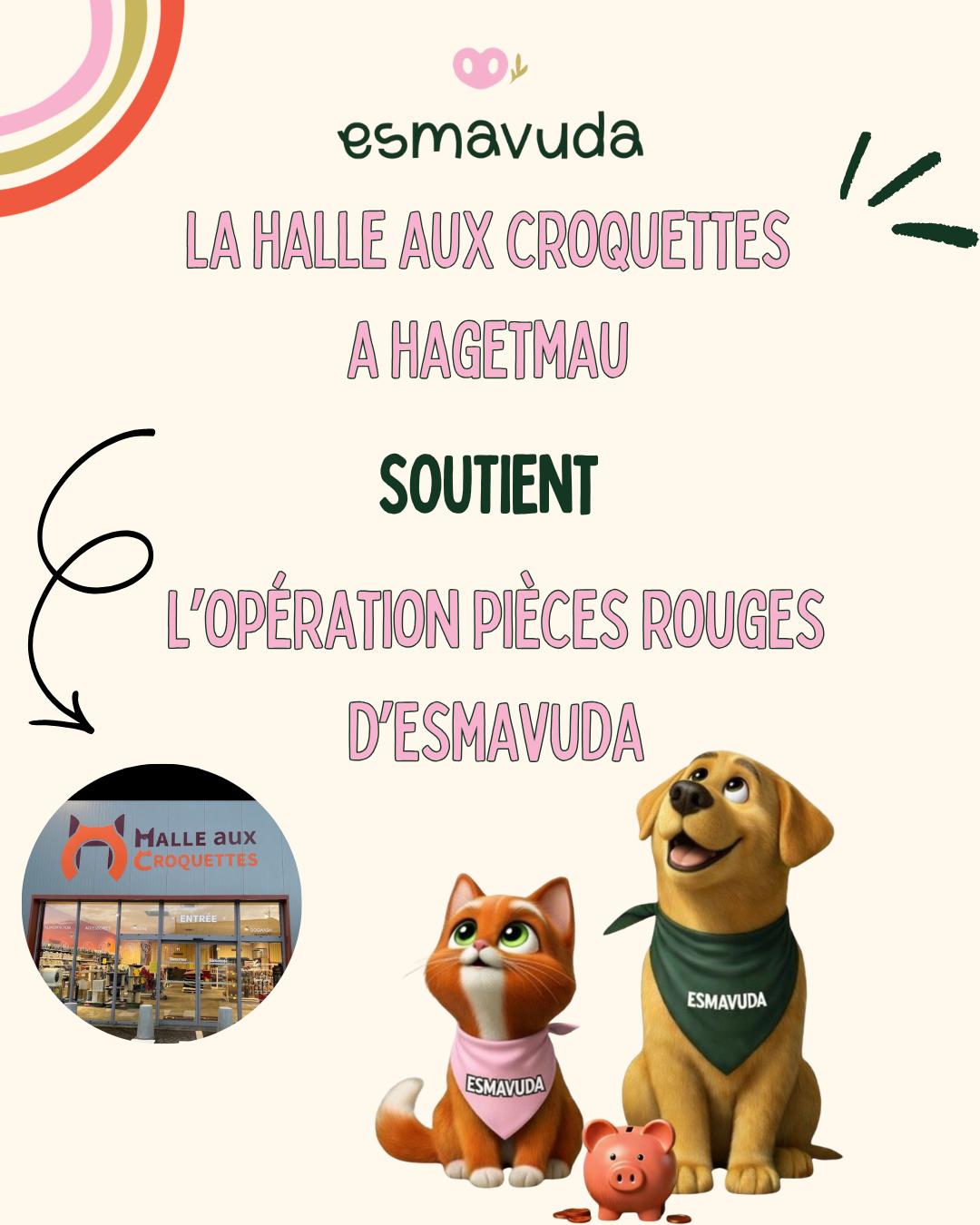 WhatsApp Image 2026-04-09 at 18.33.26 (4)