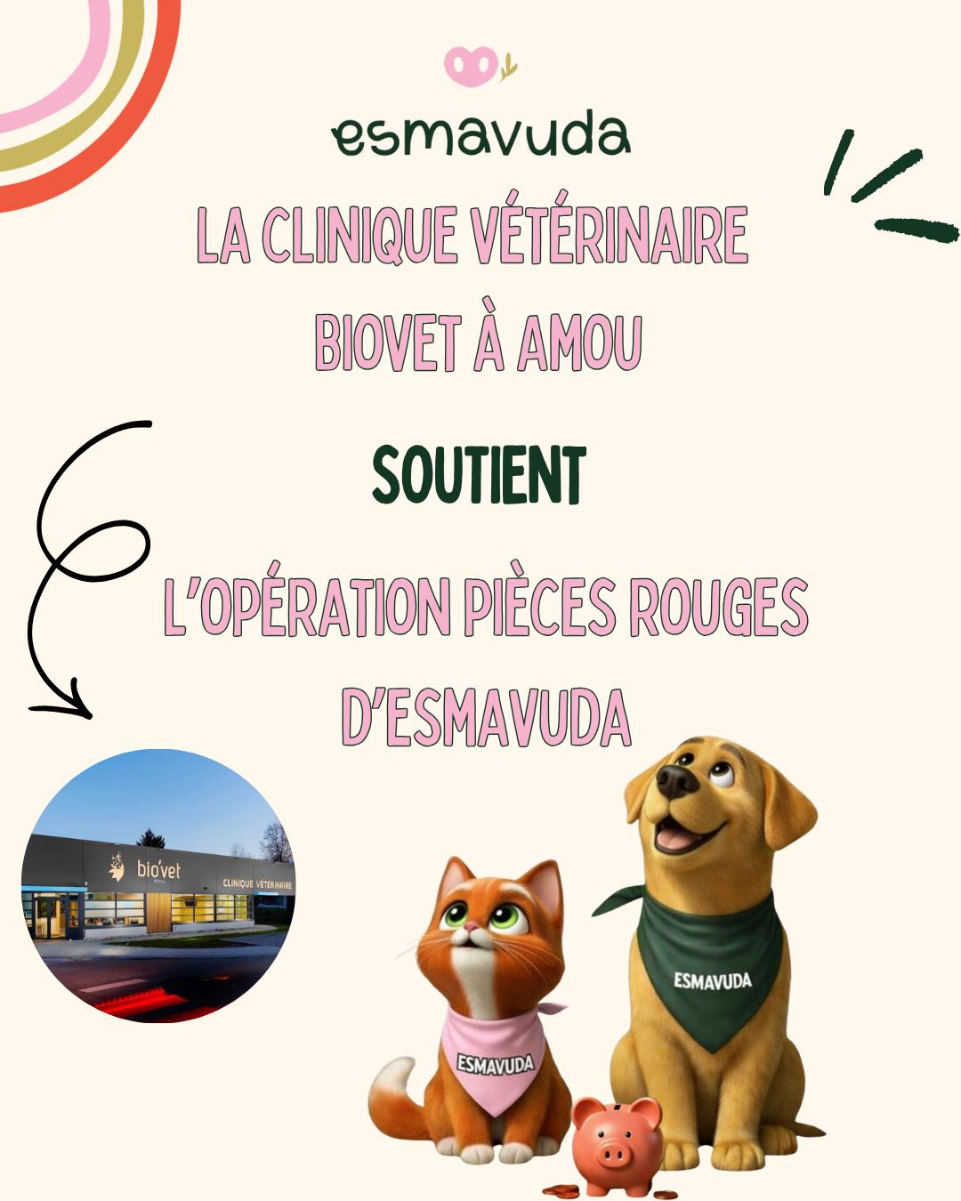 WhatsApp Image 2026-04-09 at 18.33.26 (7)