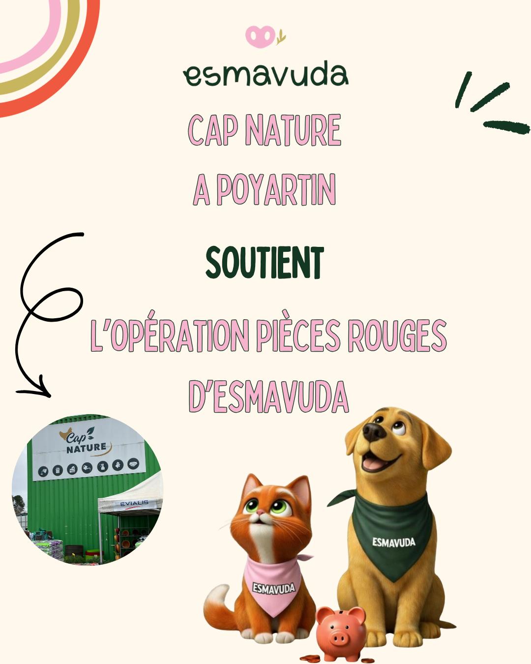 WhatsApp Image 2026-04-09 at 18.33.26 (9)