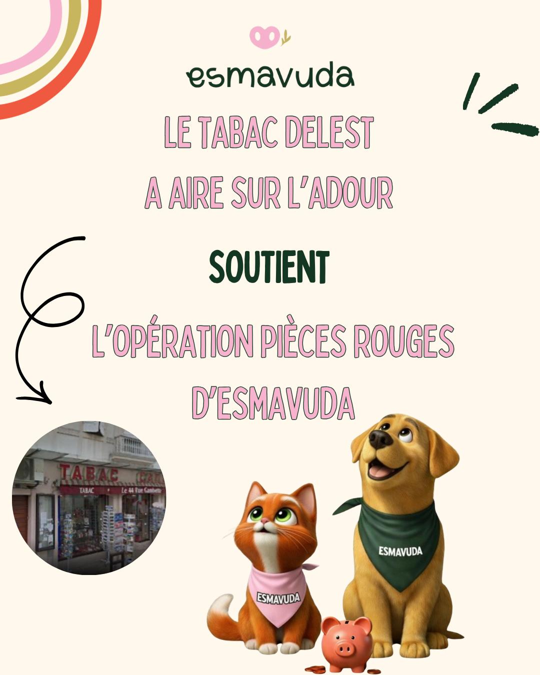 WhatsApp Image 2026-04-09 at 18.33.26