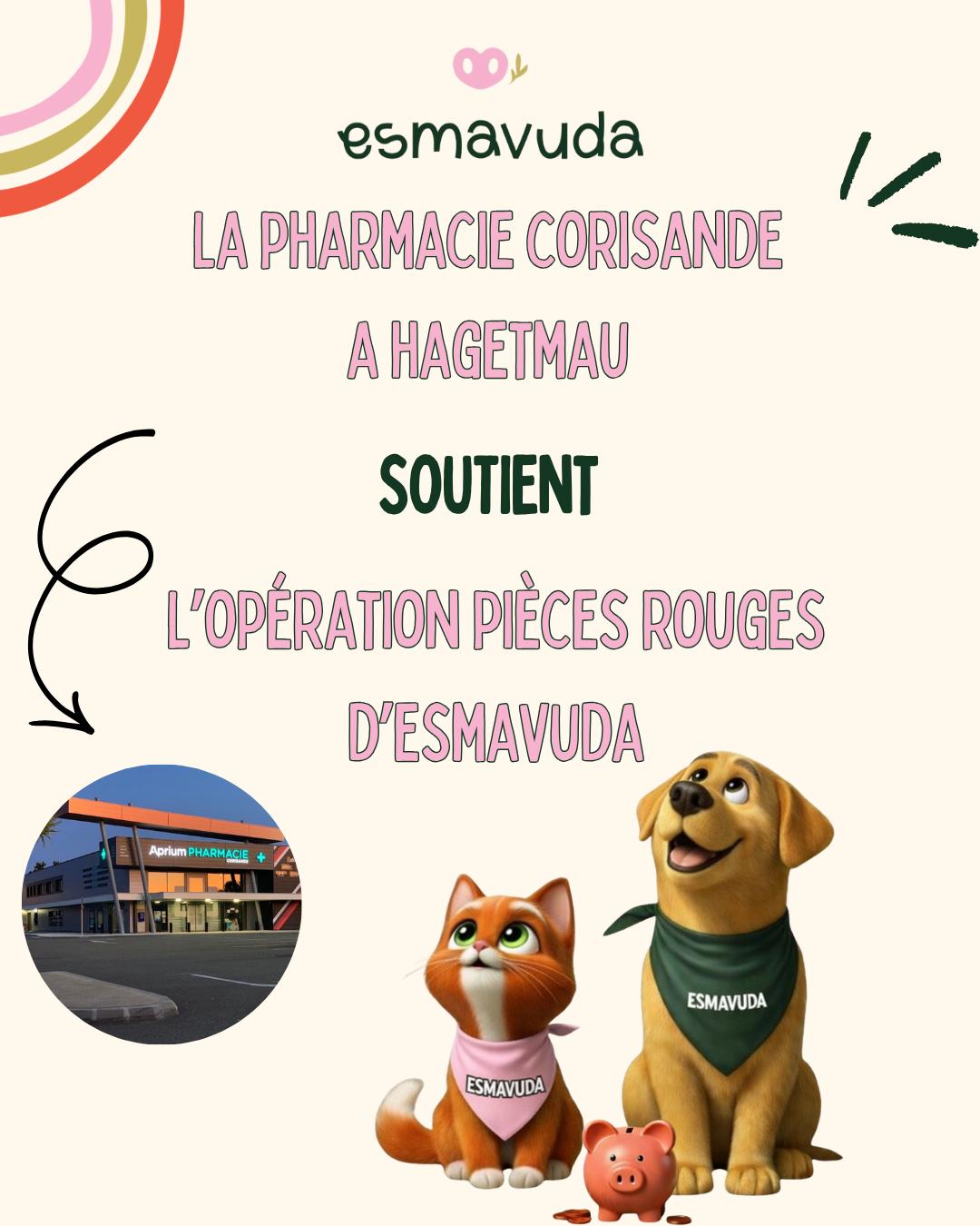 WhatsApp Image 2026-04-09 at 18.33.27 (4)