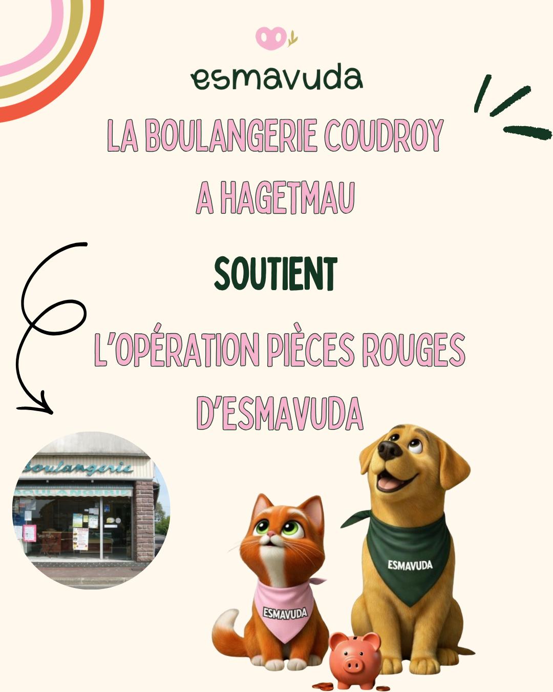 WhatsApp Image 2026-04-09 at 18.33.27 (8)