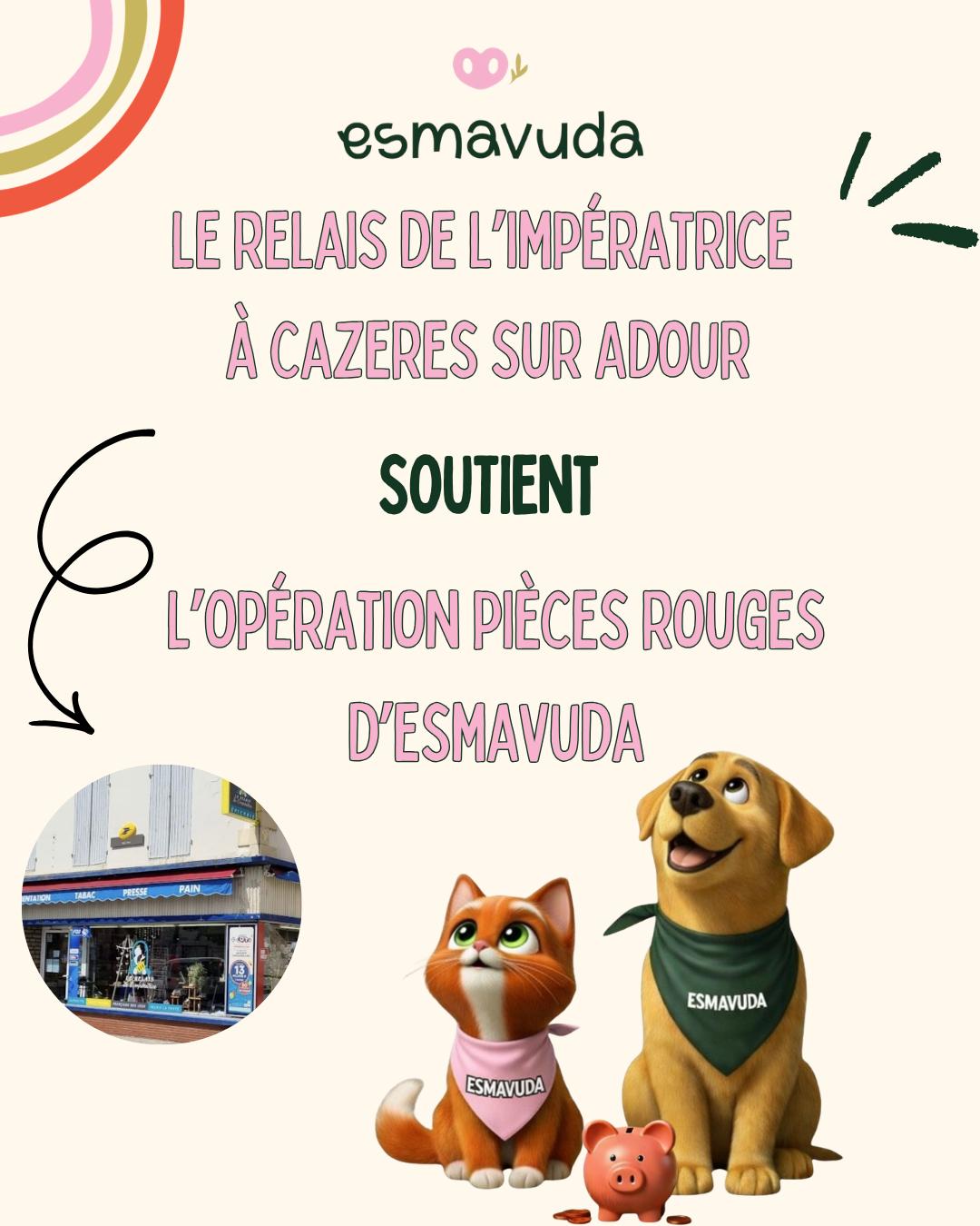 WhatsApp Image 2026-04-09 at 18.33.28 (1)