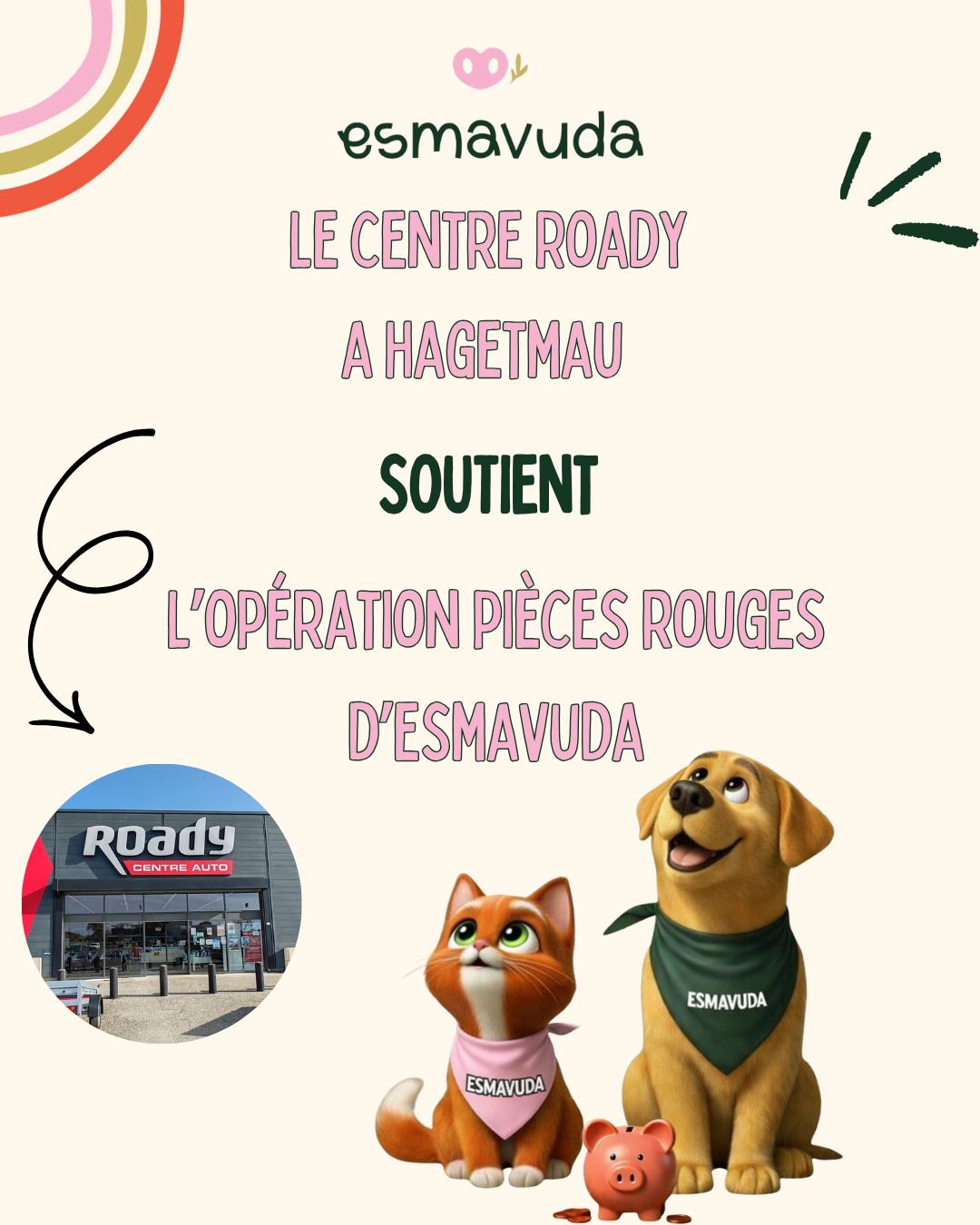 WhatsApp Image 2026-04-09 at 18.33.28 (3)