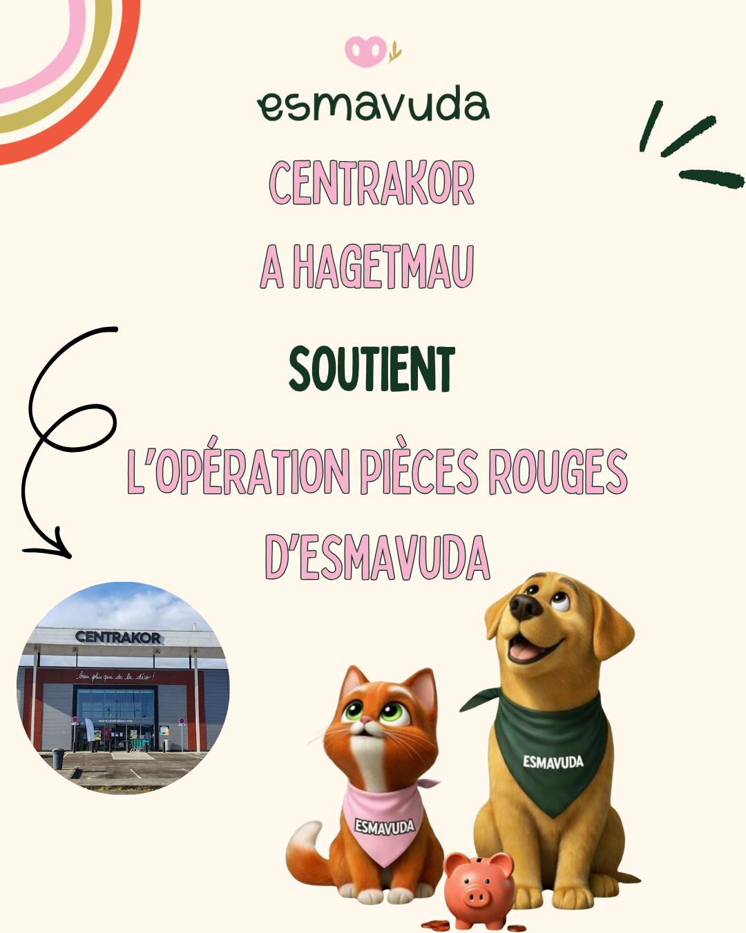 WhatsApp Image 2026-04-09 at 18.33.28 (4)