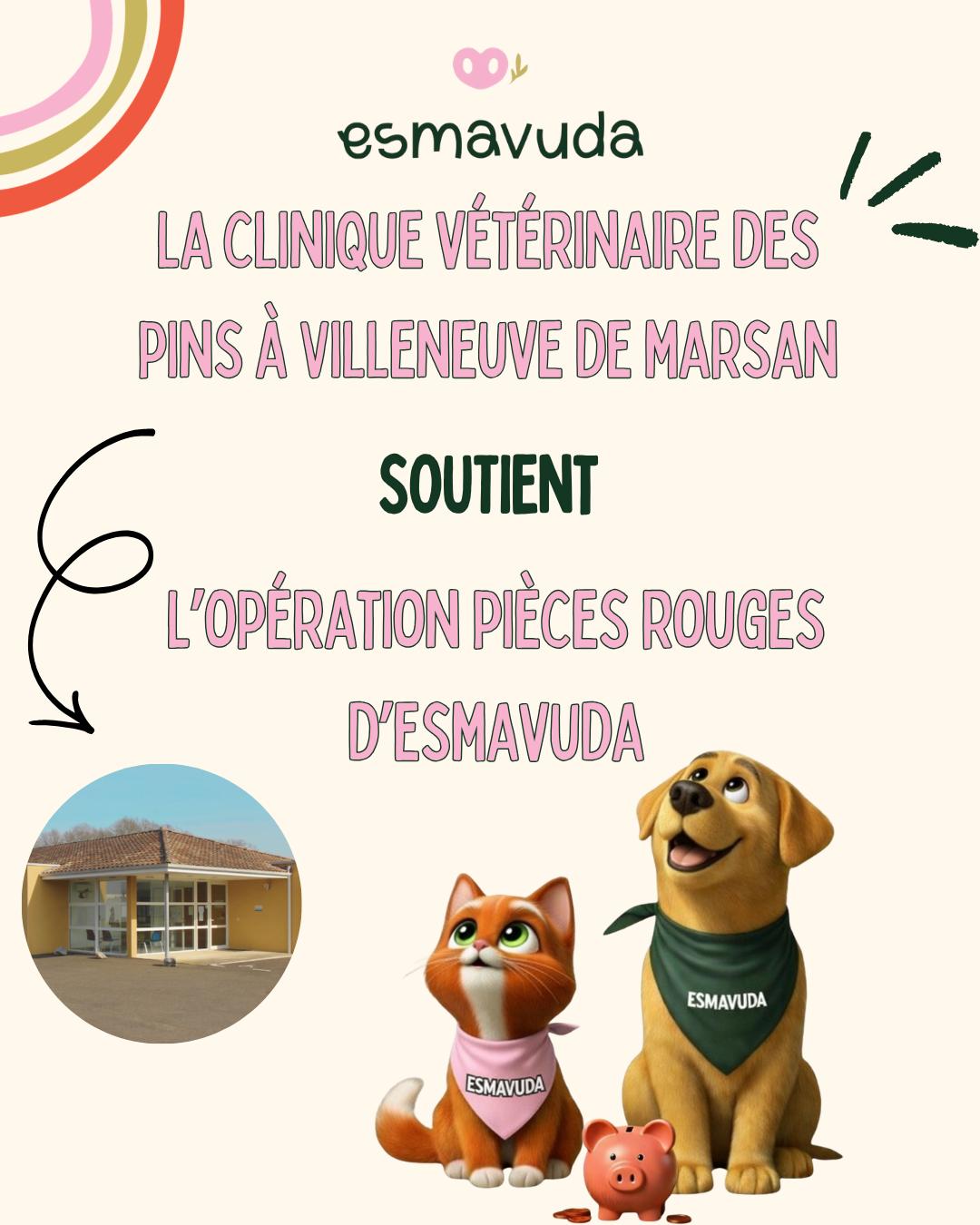 WhatsApp Image 2026-04-09 at 18.33.28 (5)