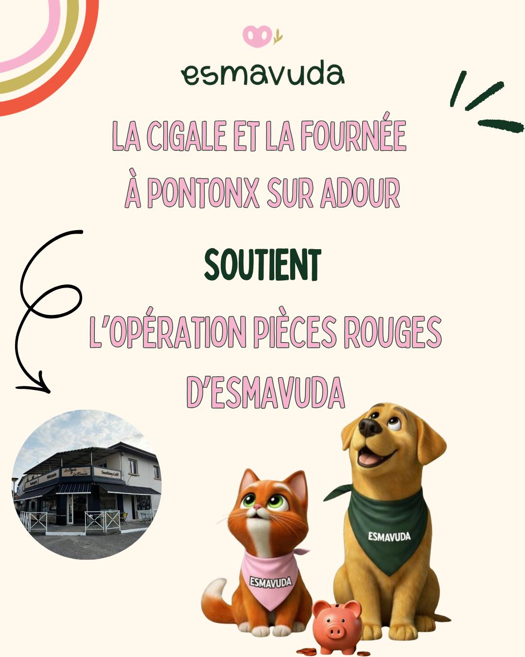 WhatsApp Image 2026-04-09 at 18.33.28 (6)