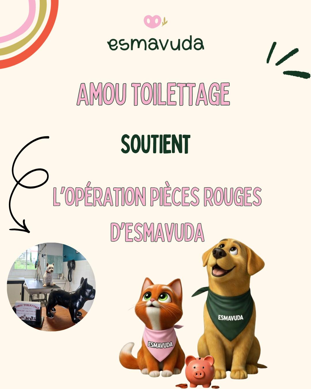 WhatsApp Image 2026-04-09 at 18.33.28 (7)