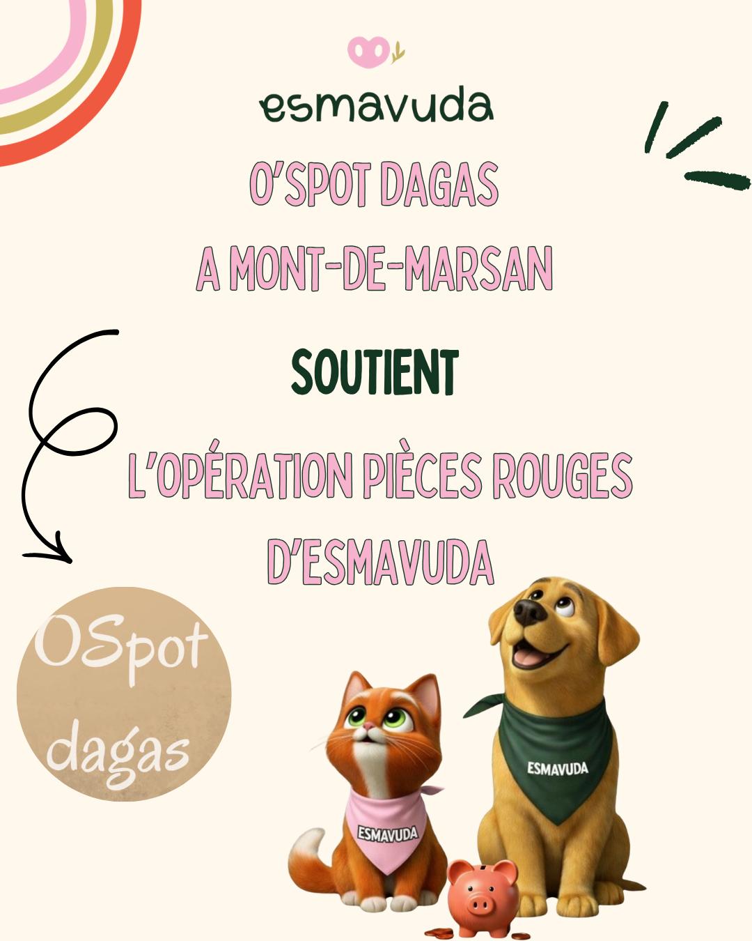 WhatsApp Image 2026-04-09 at 18.33.28